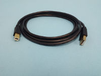 6ft USB Cable. Type A and B connectors for IntelliLogger to PC connection